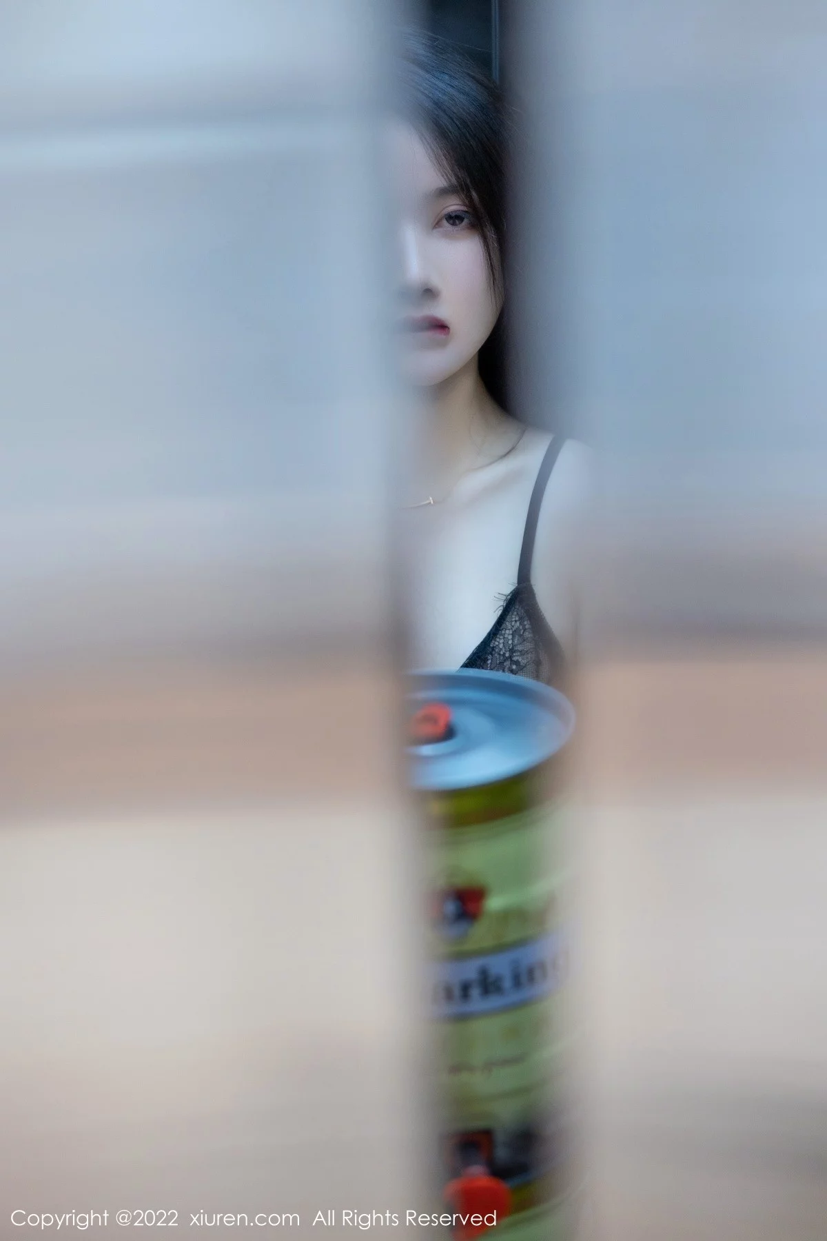 [[XiuRen秀人网]秀人网]No.4513_模特Summer宝宝电梯间主题脱衬衫露蕾丝内衣蕾丝袜魅惑写真66P