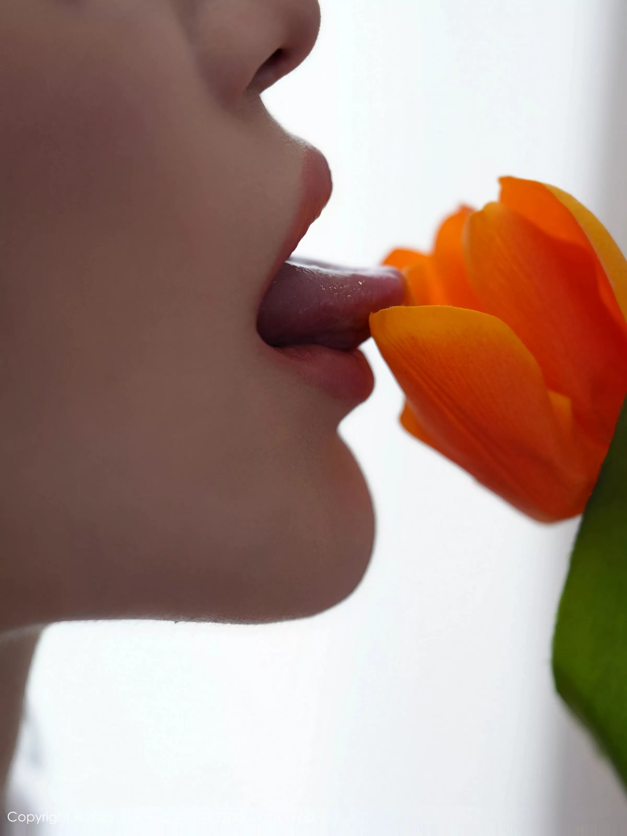 [[XiuRen秀人网]秀人网]No.10416_模特白露lulu性感粉色情趣内衣配白色丝袜秀曼妙身材诱惑写真85P